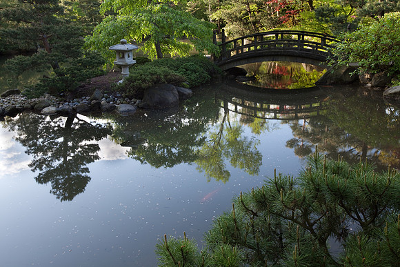 Imagination Bridge