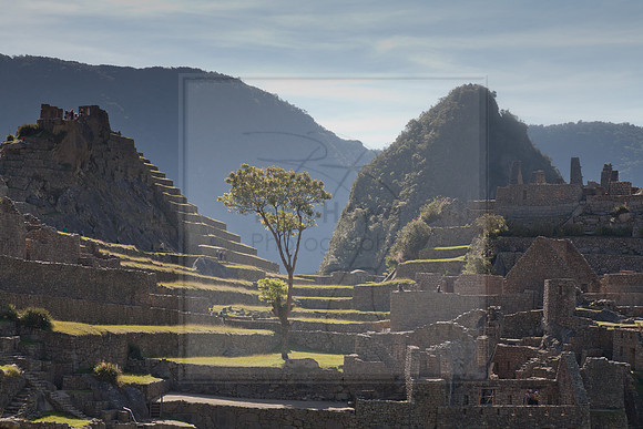 Machu Picchu Survives