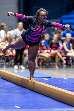 Special Olympics Illinois Summer Games Gymnastics 2024