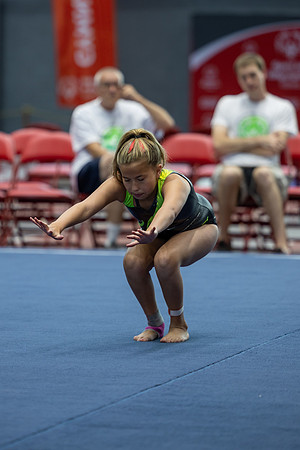 Gymnastics
