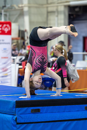 Gymnastics