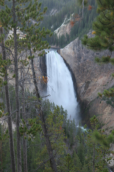 Yellowstone Falls