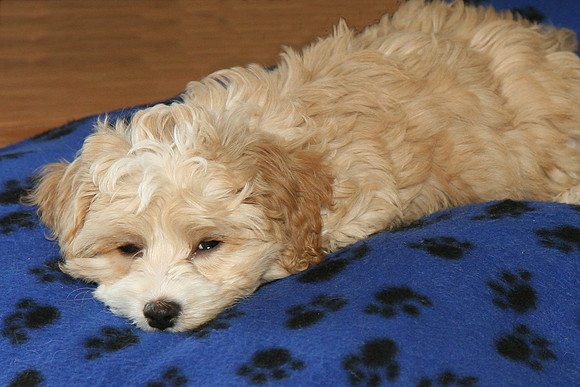 Nap Time