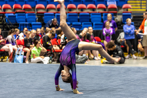 Summer Games 2026 - Rhythmic Gymnastics
