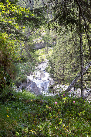 June 28 - Kandersteg