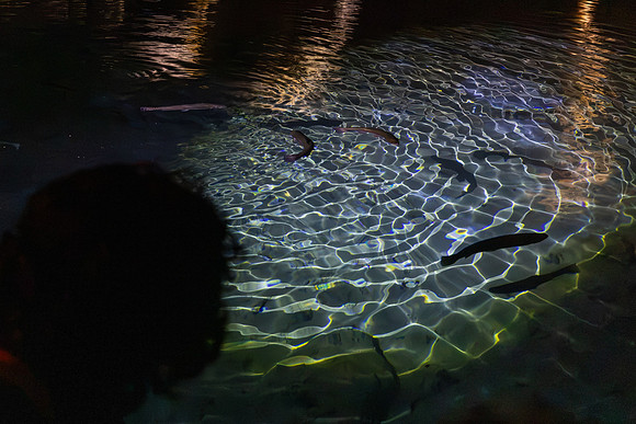 July 6 - St. Leonard - Underground Cave & Park