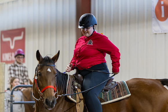Abigali Eckmayer riding Pandora in Stock Seat Equitation
