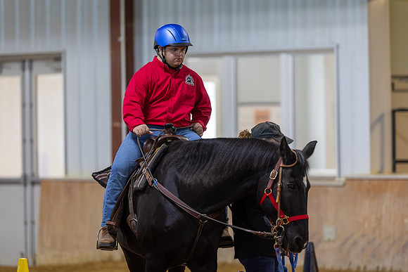 Gavin Gory riding Merlin in Working Trails