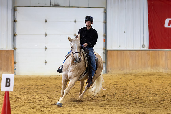 Easton Huff riding Juice in Stock Seat Equitation