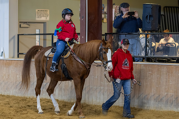 Elise Elkins riding Amir in Stock Seat Equitation