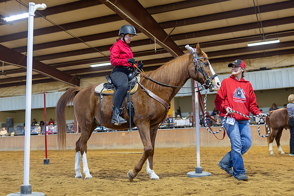 Fiona Hoffman riding Amir in Working Trails