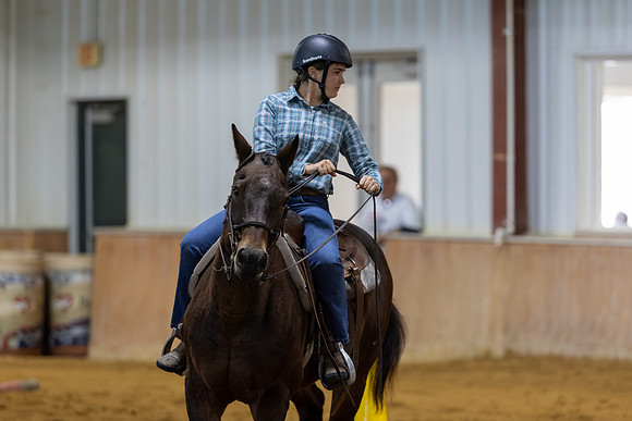 Jayci Morgan riding Amigo in Working Trails