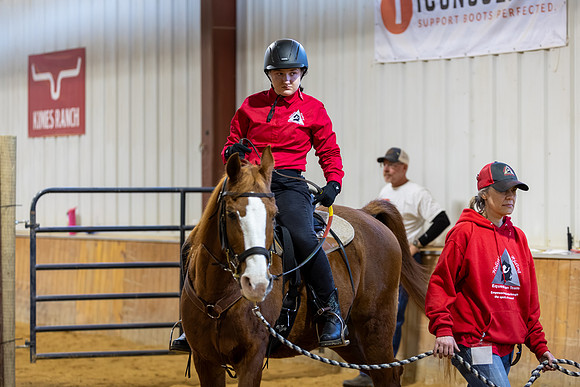Fiona Hoffman riding Amir in Stock Seat Equitation