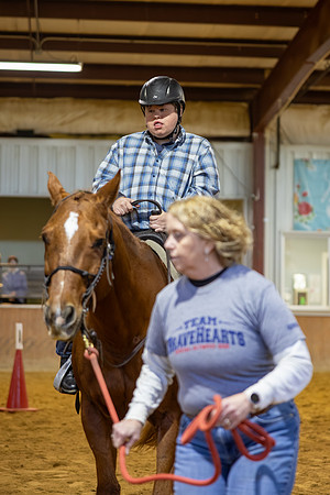 Georgie Bergman riding Sly in Stock Seat Equitation