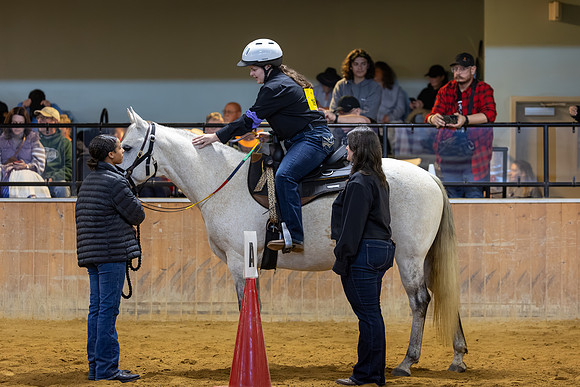 London Loy riding Tuffy in Stock Seat Equitation