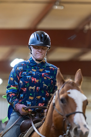 Sarah Zuba-Ingram riding Ichi in Stock Seat Equitation
