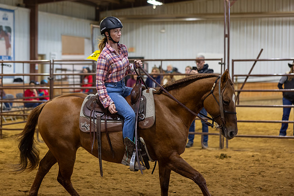 Dakota Owens riding Enzo in Stock Seat Equitation