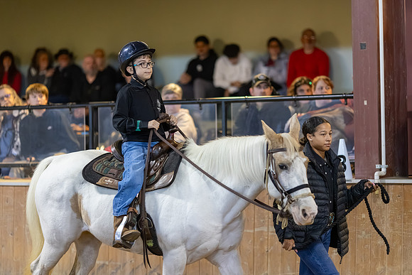Izaak Purcell riding Sugar in Stock Seat Equitation