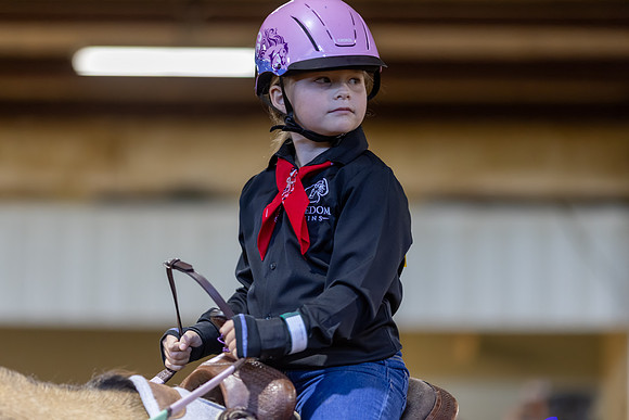 Vannie Daniels riding Mocha in Stock Seat Equitation