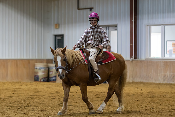 Gavin Lyons riding Heidi in Stock Seat Equitation