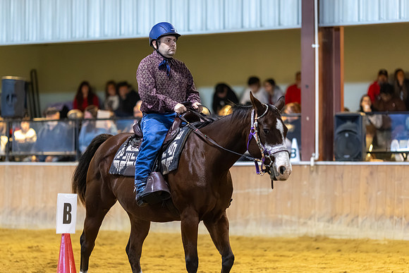 Stephan Pilla riding Bella in Stock Seat Equitation