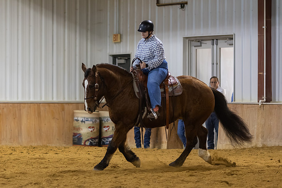Rennianah von Kampen riding Beau in Stock Seat Equitation