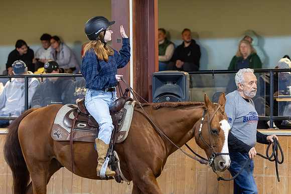Adalee Scott riding Ichi in Stock Seat Equitation