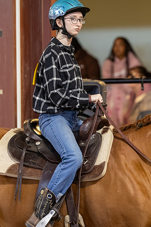 Avenlea Greenfield riding Cookie in Stock Seat Equitation