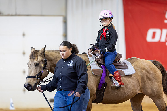 Vannie Daniels riding Mocha in Stock Seat Equitation