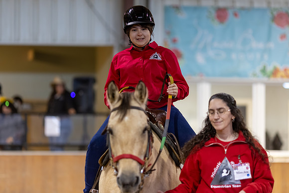 Olivia Hofferica riding Holly in Stock Seat Equitation