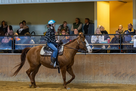 Avenlea Greenfield riding Cookie in Stock Seat Equitation