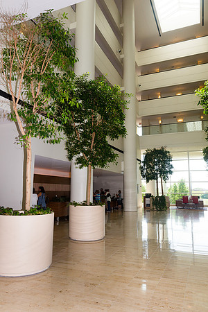 Renaissance Schaumburg Hotel