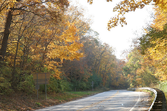 Fall along the River Road