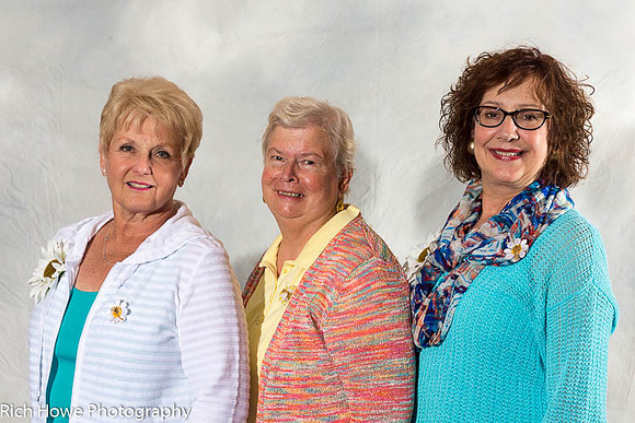 Convention Advisory Council, 2016-2017