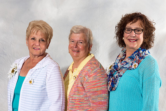 Convention Advisory Council, 2016-2017