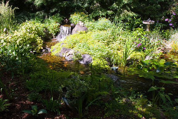 Garden Stream