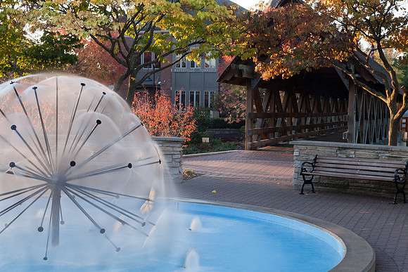 Dandelion Fountain
