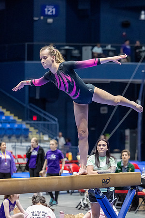 Special Olympics Illinois Summer Games Gymnastics 2024