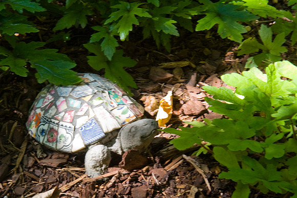 Tile Turtle