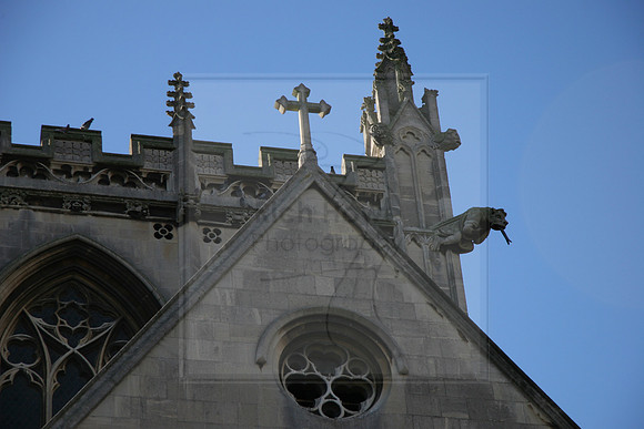 Cambridge Gargoyles