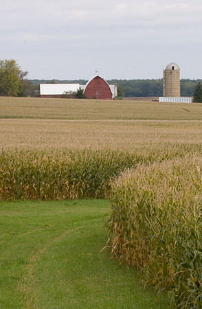 Farm on Route 64
