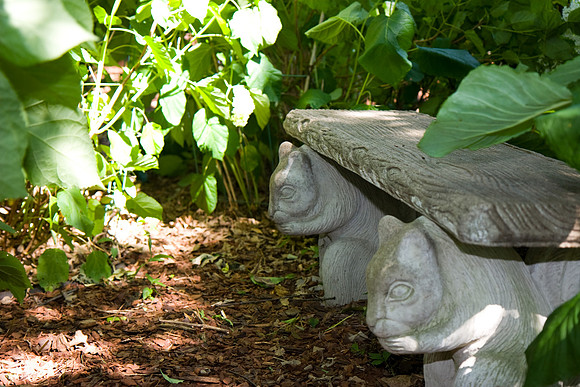 Squirrelly Bench