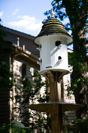 Bird Cottage
