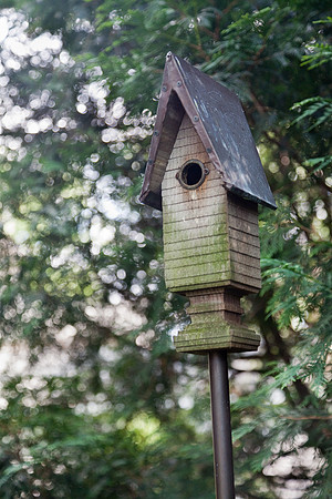Bird Townhousse