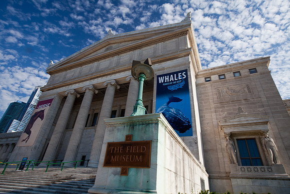 Field Museum
