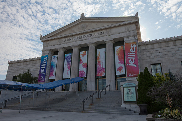 Shedd Aquarium