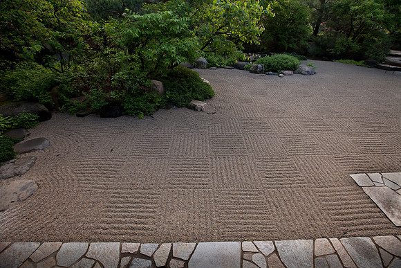 Lines in the Path